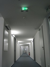 Decke D131